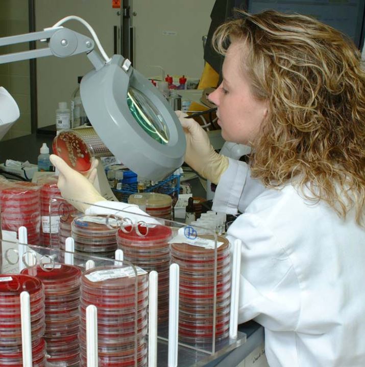 student in medical lab